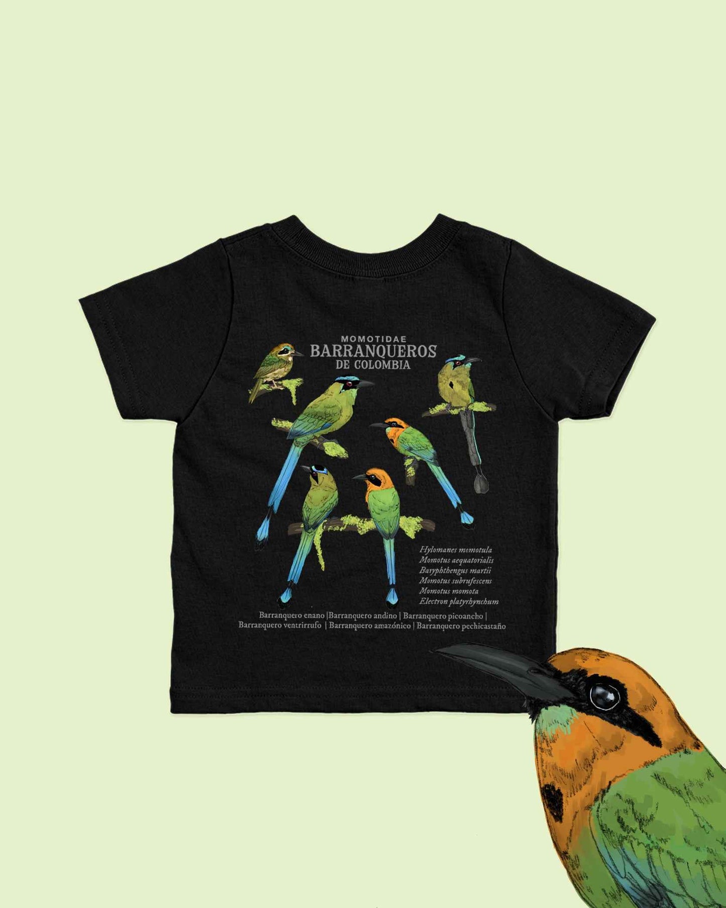 Camiseta Niños | Barranqueros | Fauna Colombiana