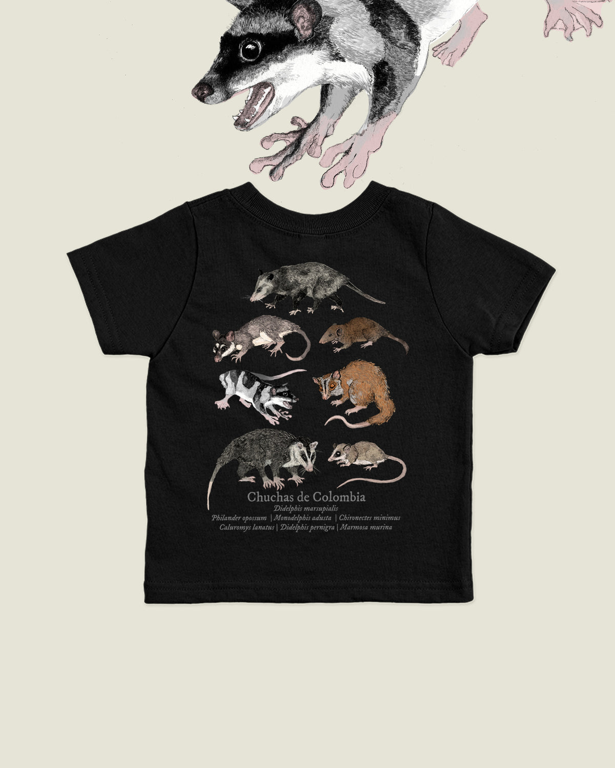 Camiseta Niños | Chuchas | Fauna Colombiana