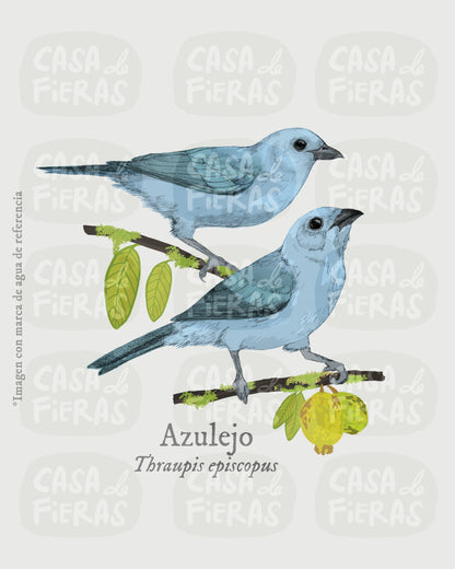 Camiseta Azulejo
