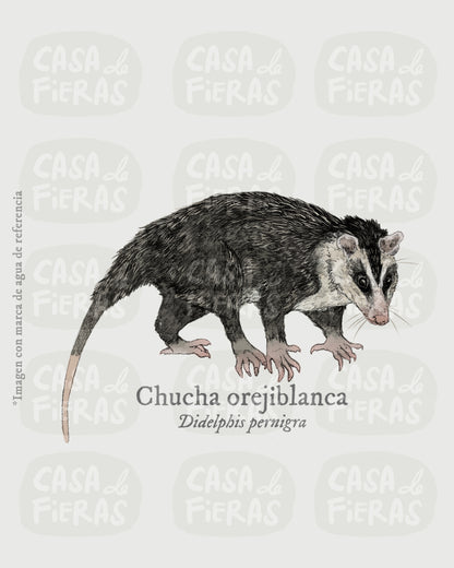 Camiseta Chucha orejiblanca
