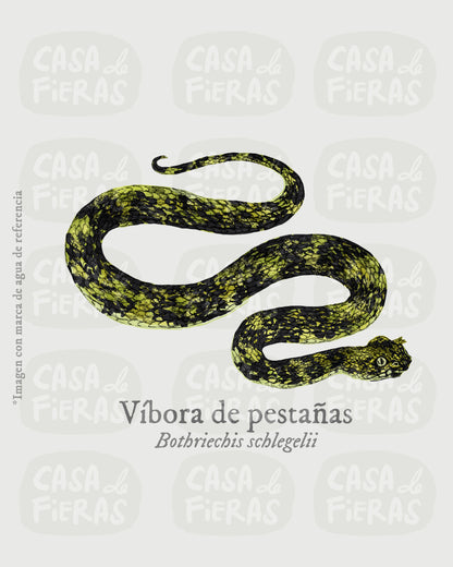 Camiseta Víbora de pestañas