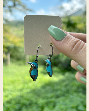 Aretes Martín Pescador | Casa de Fieras