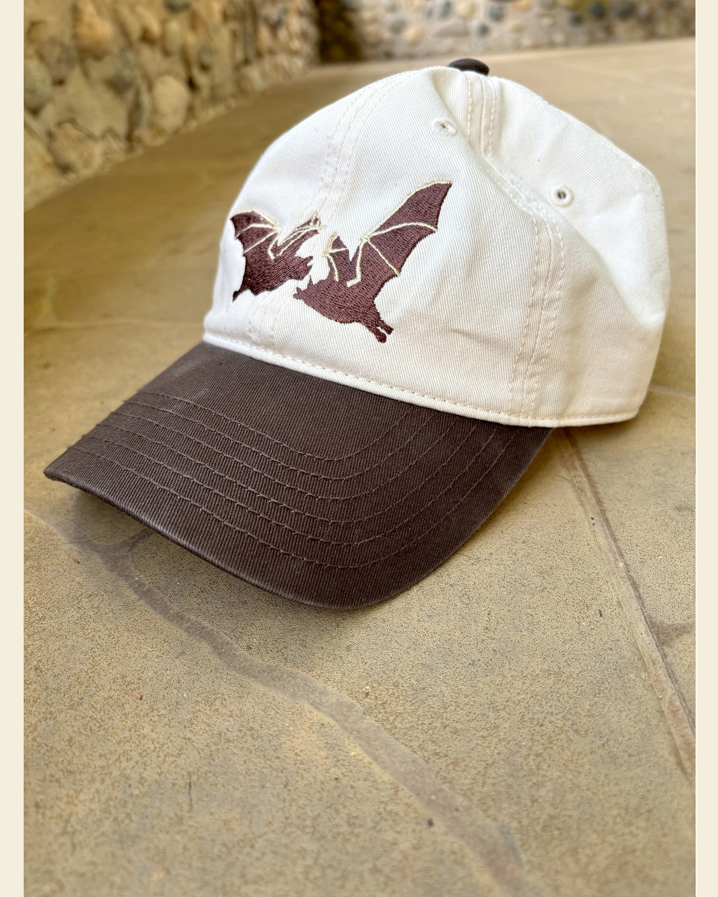 Gorra Bicolor Chiroptera [PREVENTA] - Murciélagos