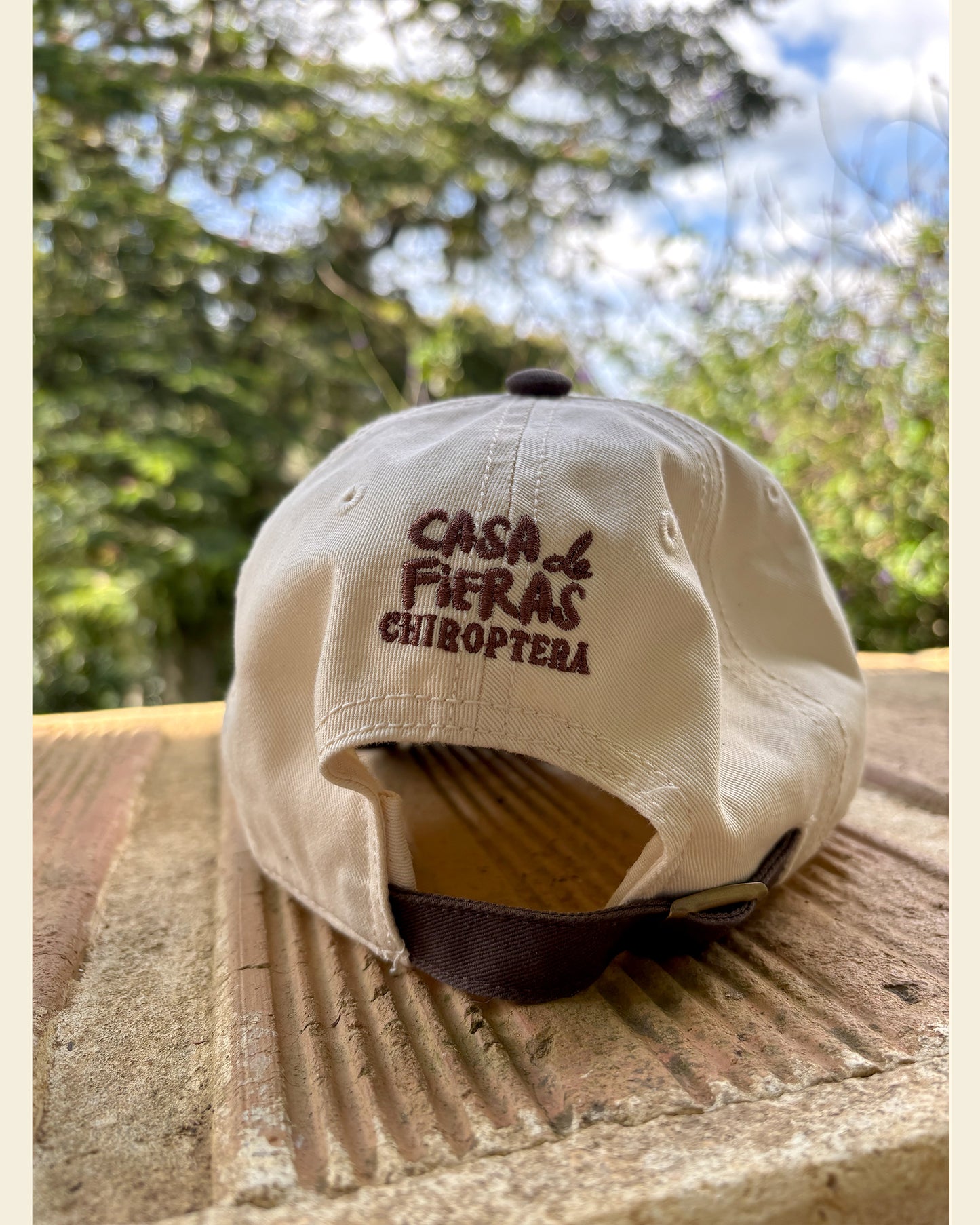 Gorra Bicolor Chiroptera [PREVENTA] - Murciélagos