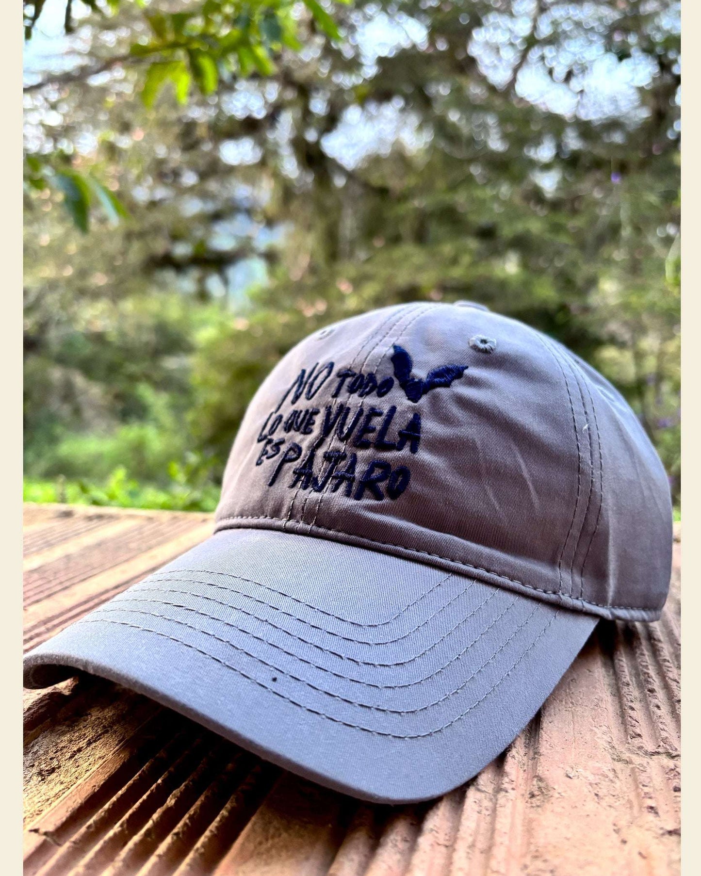 Gorra No Todo Lo Que Vuela Es Pájaro | Chiroptera | Murciélagos Casa de Fieras