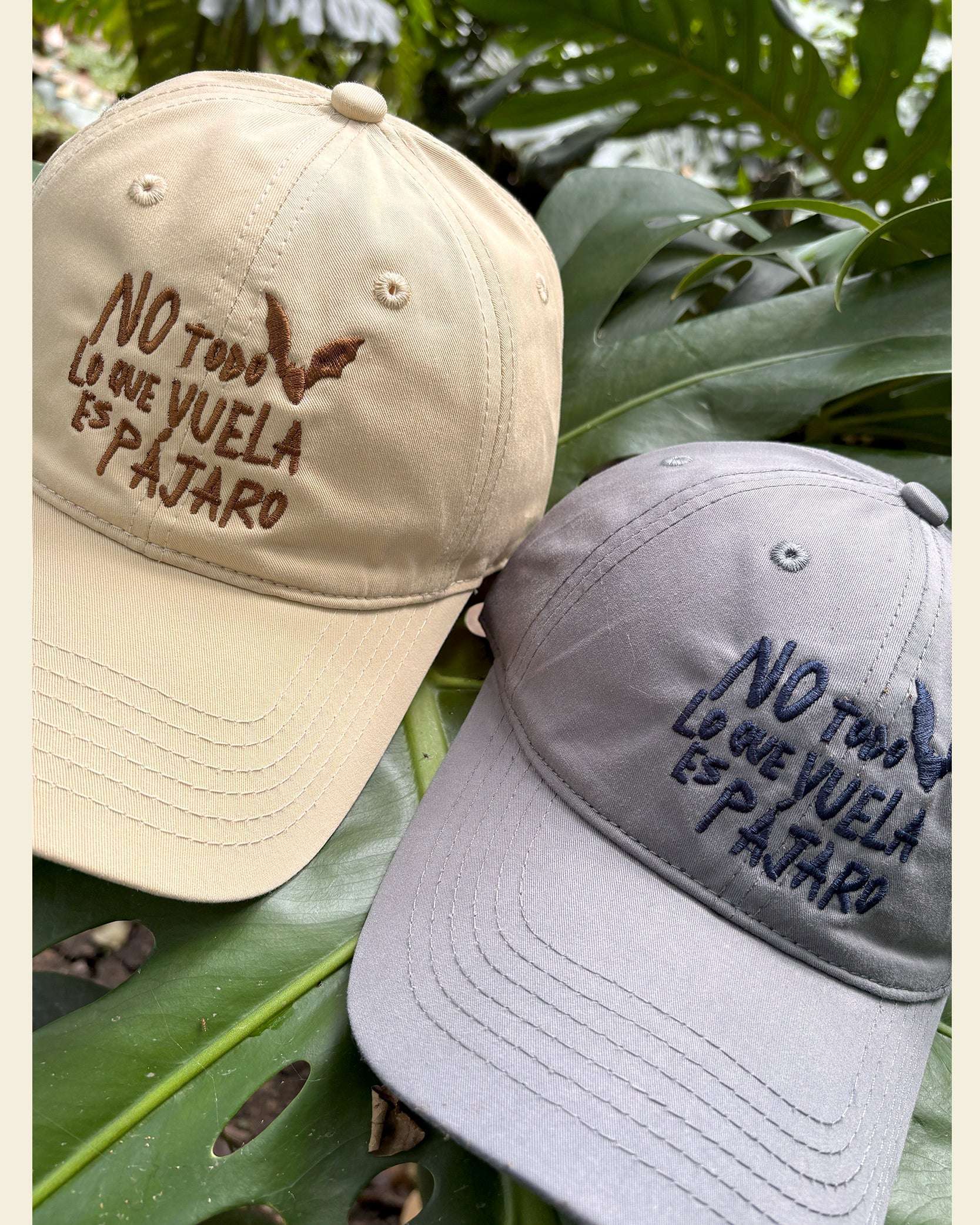 Gorra No Todo Lo Que Vuela Es Pájaro | Chiroptera | Murciélagos Casa de Fieras
