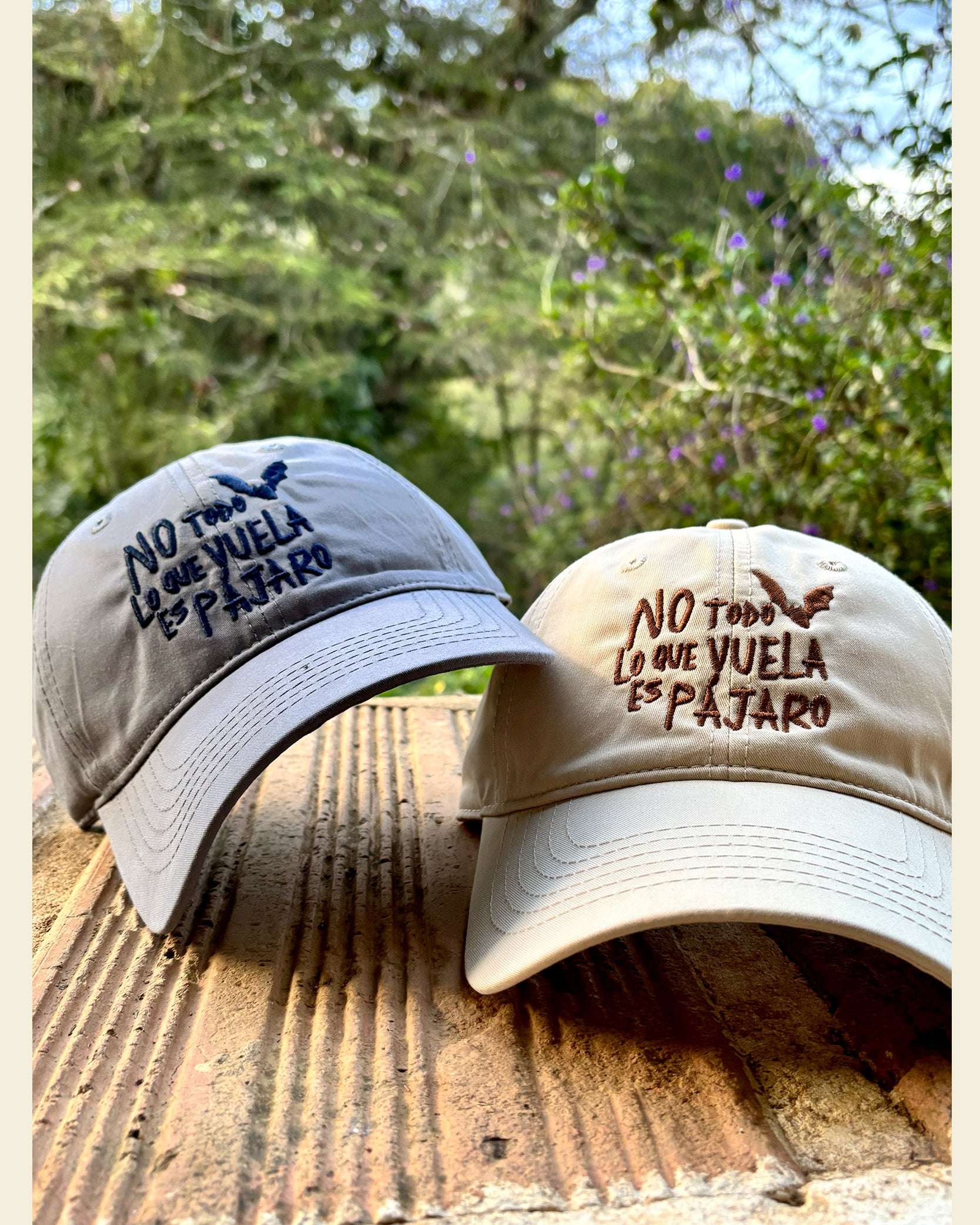 Gorra No Todo Lo Que Vuela Es Pájaro | Chiroptera | Murciélagos Casa de Fieras