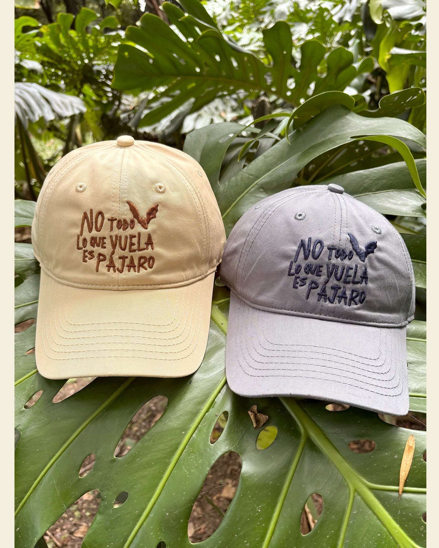 Gorra No Todo Lo Que Vuela Es Pájaro | Chiroptera | Murciélagos Casa de Fieras