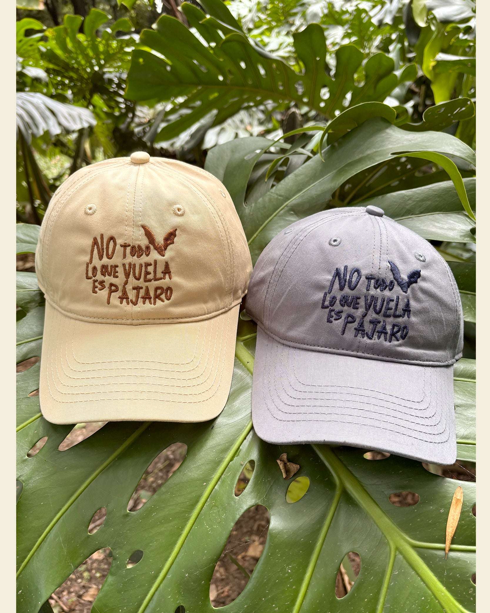 Gorra No Todo Lo Que Vuela Es Pájaro | Chiroptera | Murciélagos Casa de Fieras
