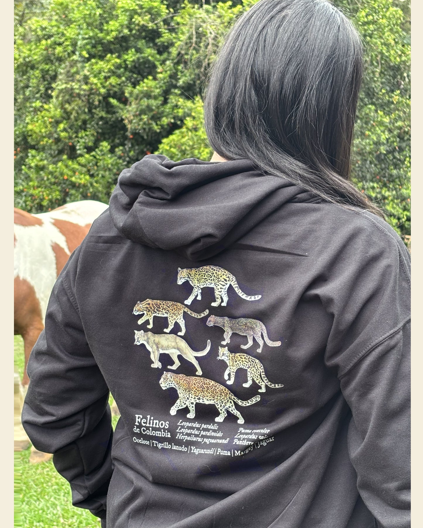 Hoodie Felinos de Colombia