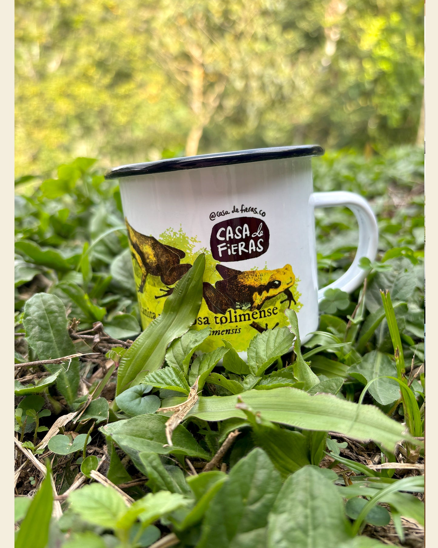 Mug de peltre Ranita Venenosa Tolimense