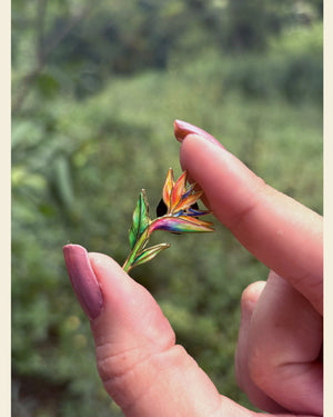 Pin Planta Ave del Paraíso