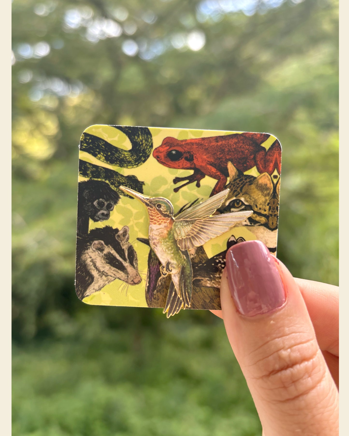 Pin Colibrí Garganta Rubí