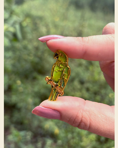 Pin Lora Amazona Frentirroja