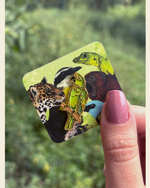Pin Lora Amazona Frentirroja