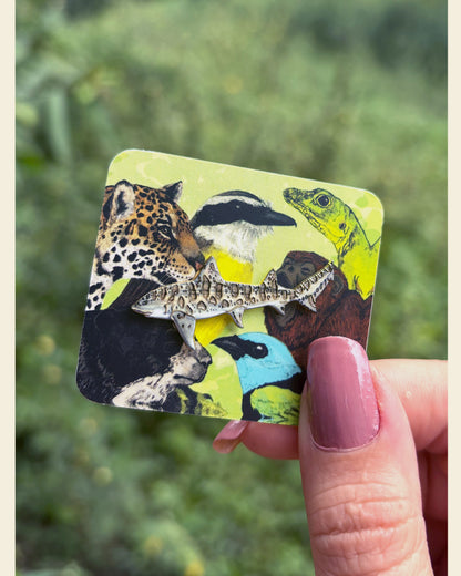 Pin Tiburón Leopardo