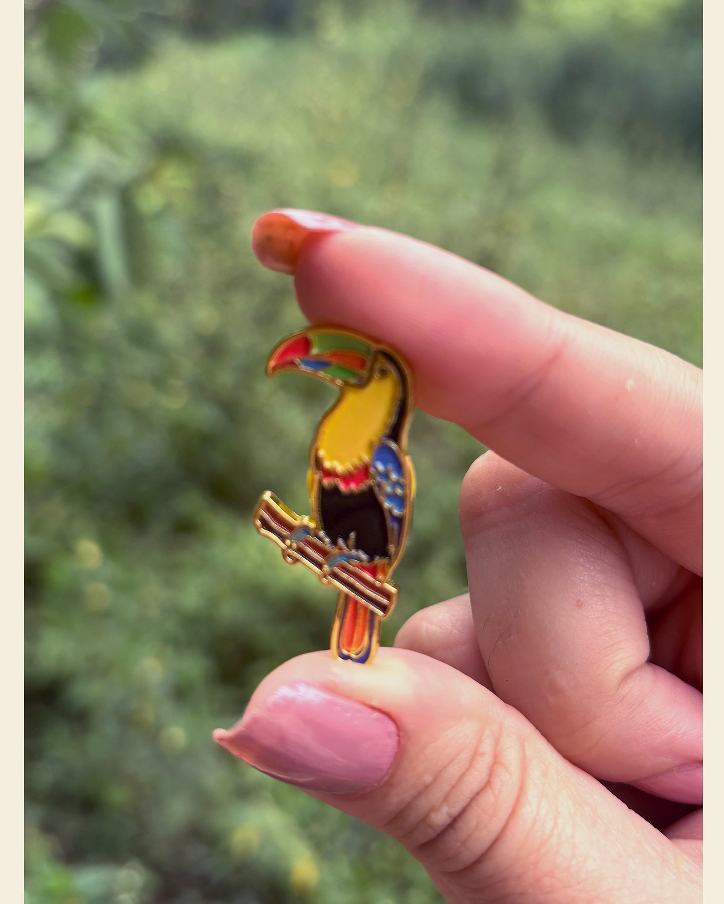 Pin Tucán del Caribe
