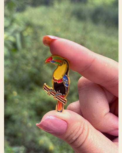Pin Tucán del Caribe