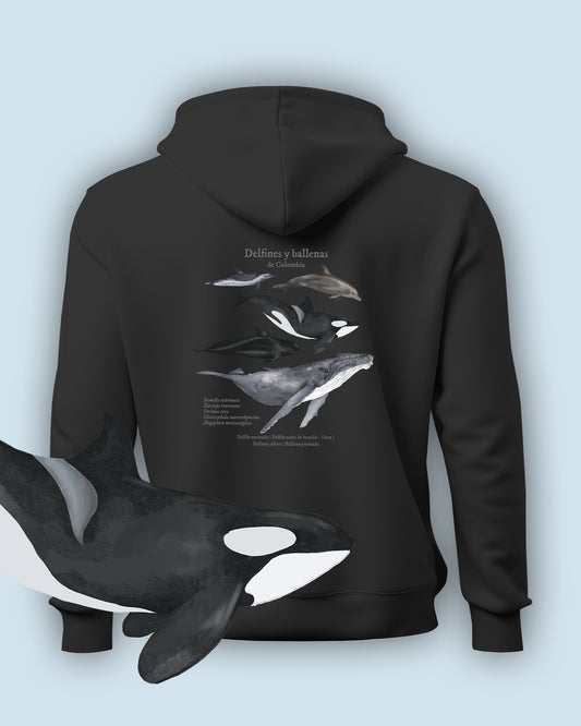 Hoodie Delfines y ballenas de Colombia