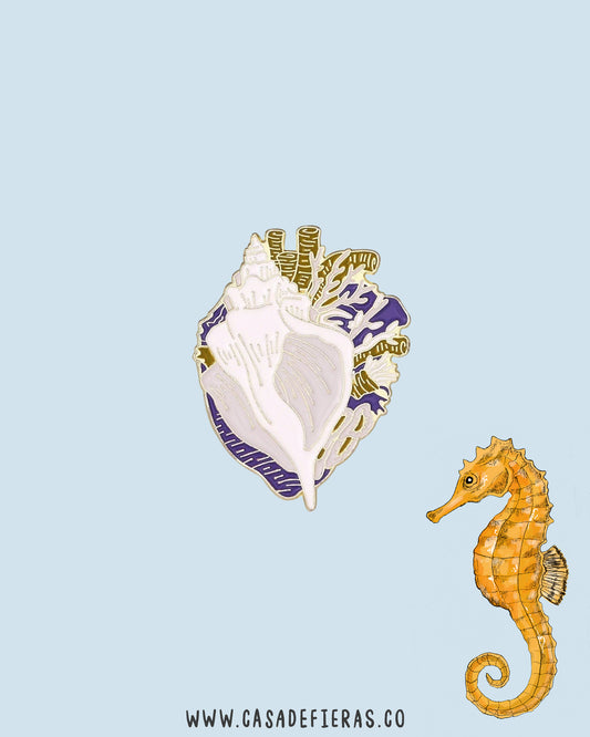 Pin Arrecife
