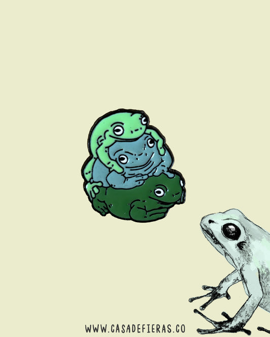 Pin Ranas Anura