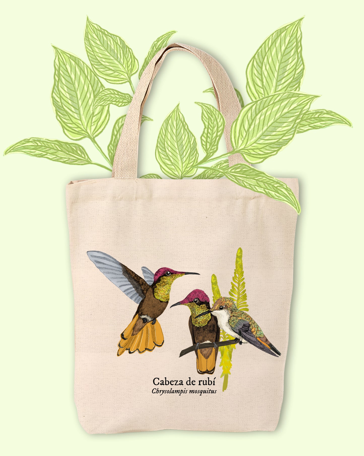 Tote Bag Colibrí Cabeza de rubí