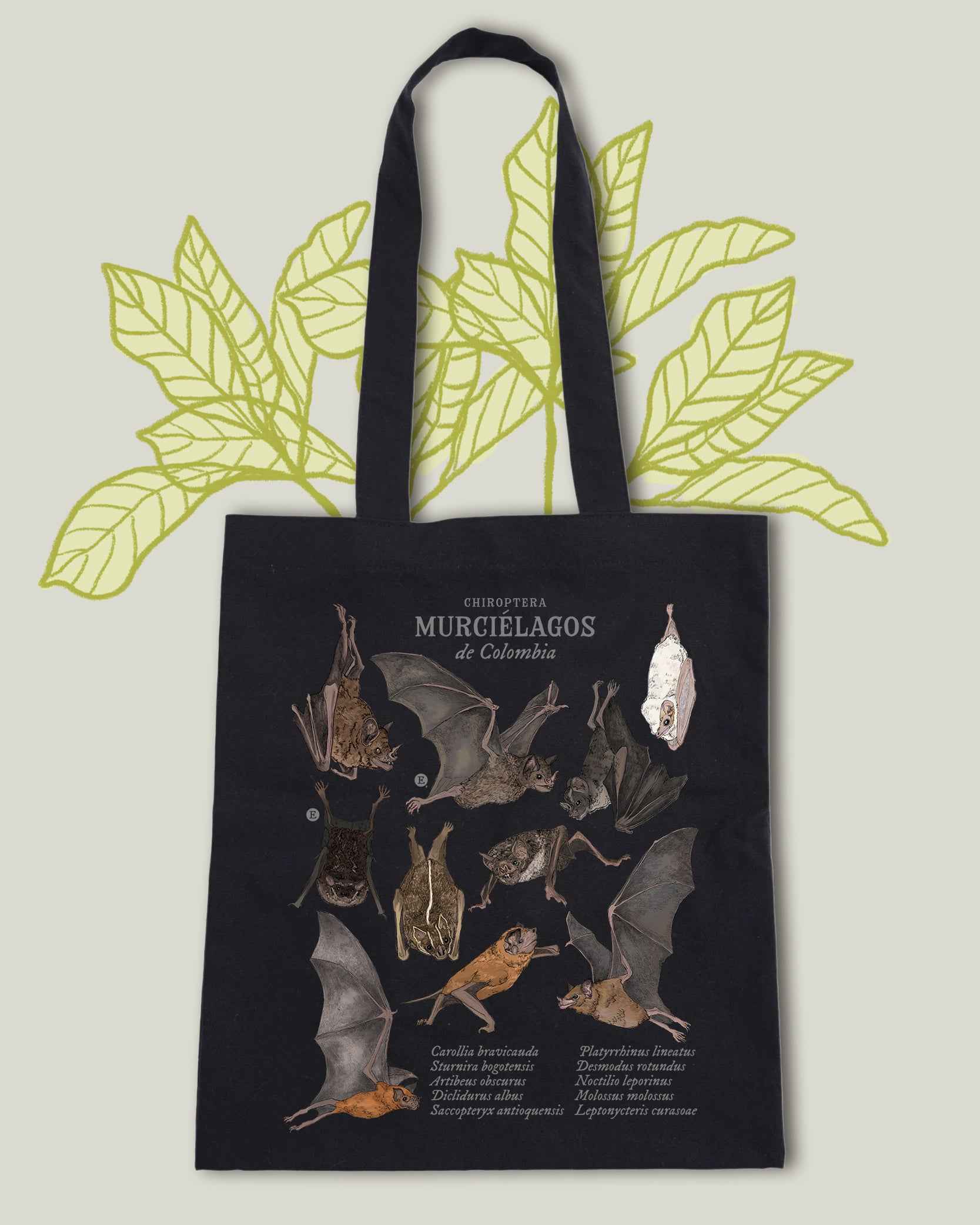 Tote Bag Murciélagos de Colombia | 100% Algodón |Negra