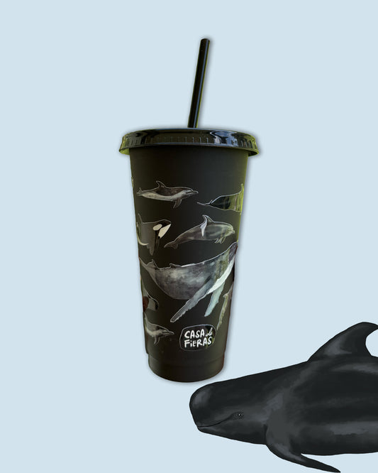 Vaso pitillo Delfines y Ballenas de Colombia
