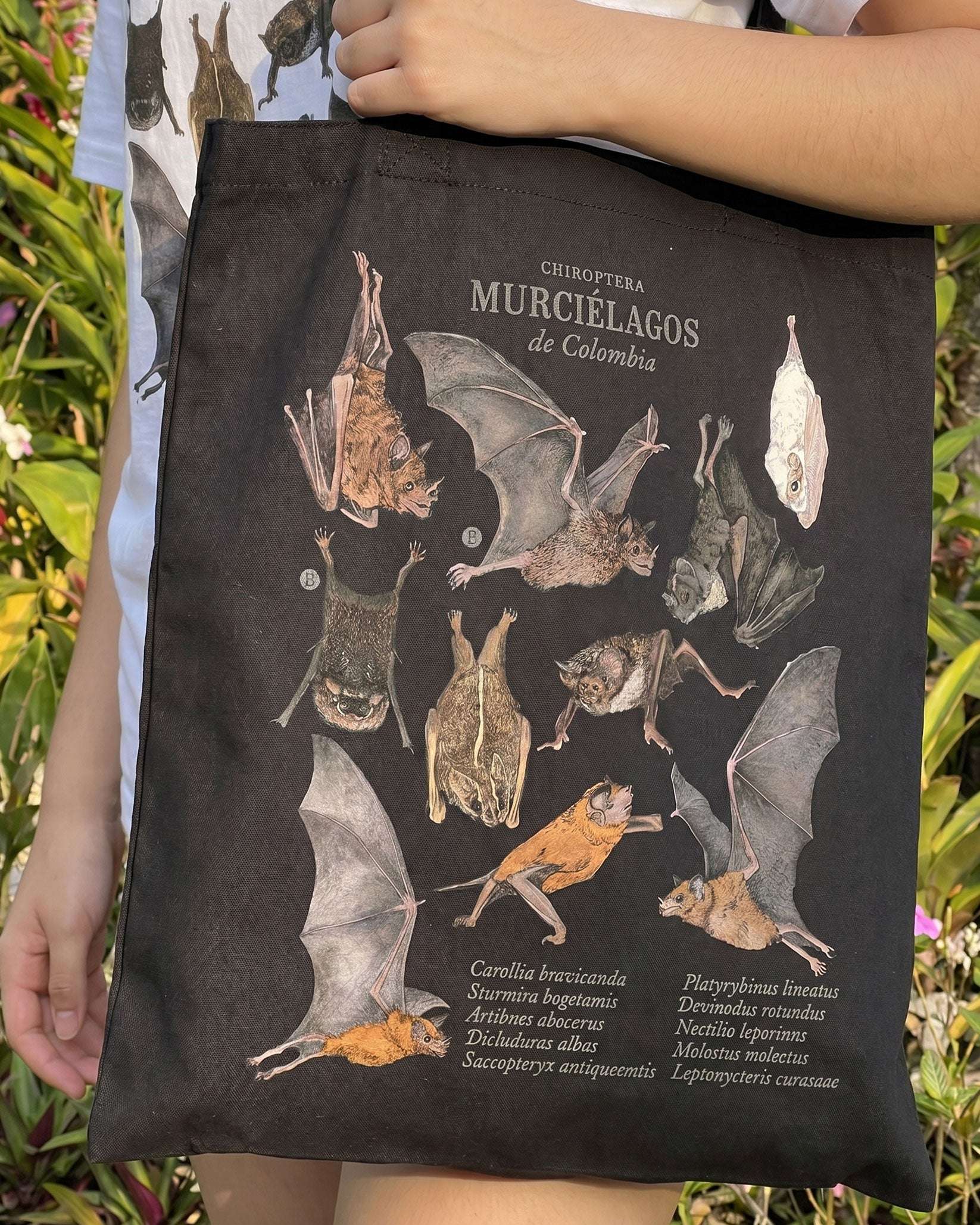 Tote Bag Murciélagos de Colombia | 100% Algodón |Negra Casa de Fieras